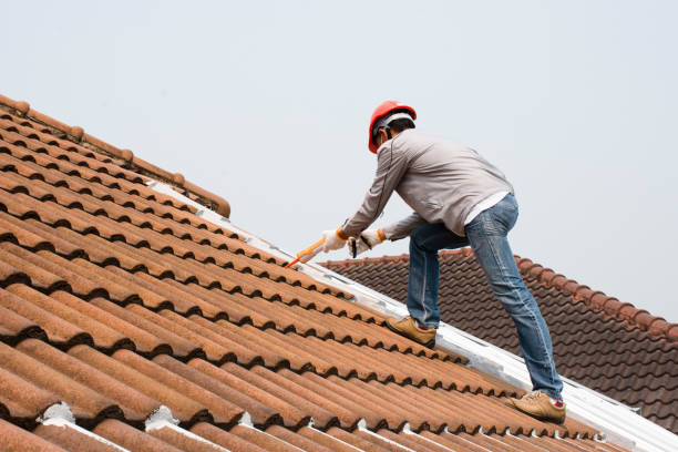 Best Roof Maintenance and Cleaning  in Treasure Lake, PA